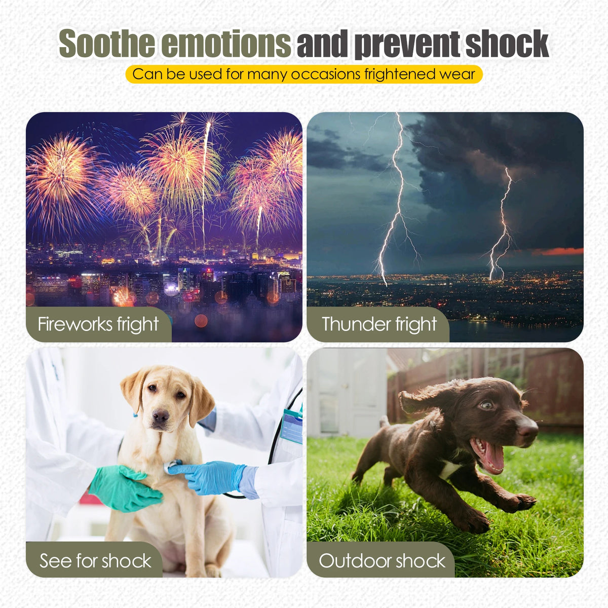Situaciones de estrés: petardos, tormentas, veterinario