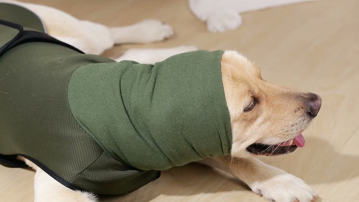 Perro tumbado y relajado con el chaleco Achuchones